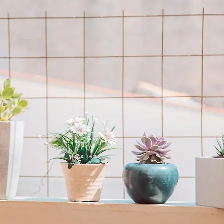 Apartment Oasis Zakynthos Town