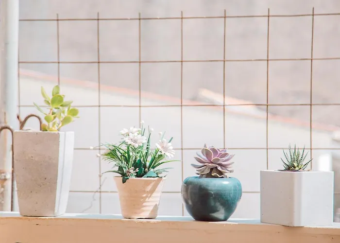 Apartment Oasis Zakynthos