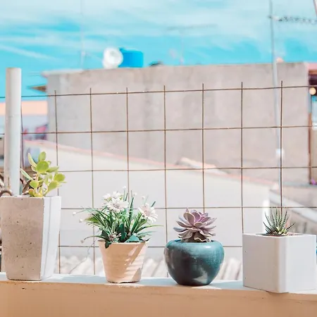 Oasis Apartment