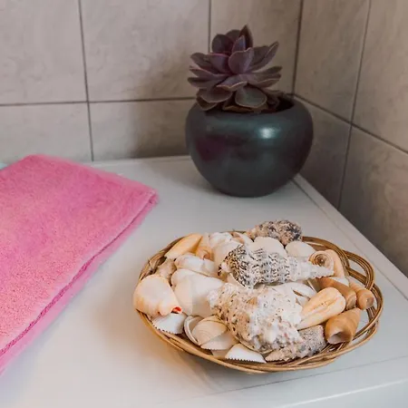 Oasis Apartment Zakynthos