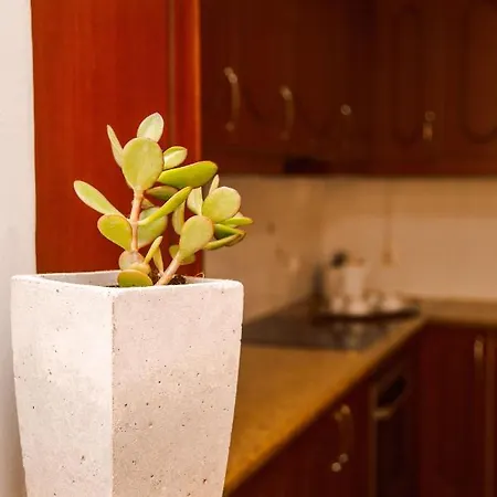 Oasis Apartment
