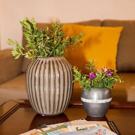 Oasis Apartment *