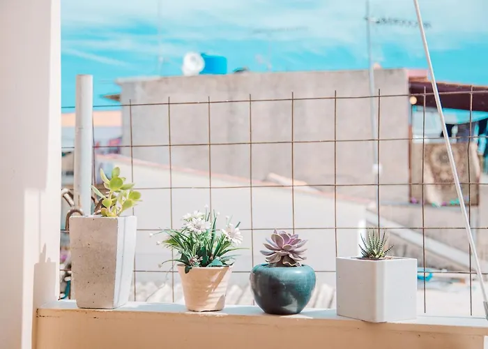 Oasis Apartamento