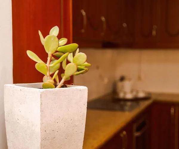 Oasis Apartamento